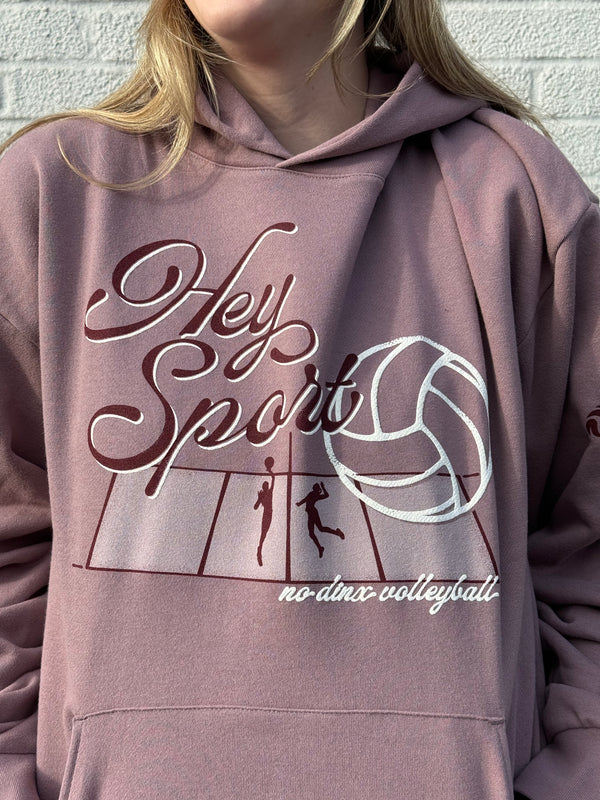 Hey Sport Hooded Sweatshirt - No Dinx Volleyball