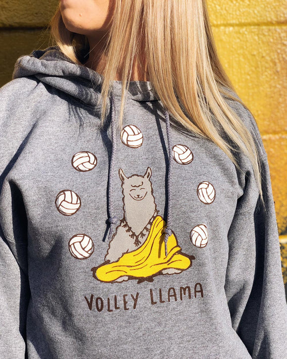 Volley Llama - No Dinx Volleyball