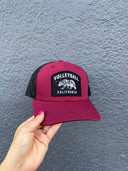 Bear California Patch Hat - No Dinx Volleyball