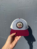 Cal Bear Ball Hat - No Dinx Volleyball