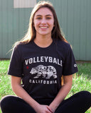 Bear California - No Dinx Volleyball