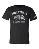 Bear California - No Dinx Volleyball