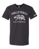 Bear California - No Dinx Volleyball