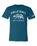 Bear California - No Dinx Volleyball